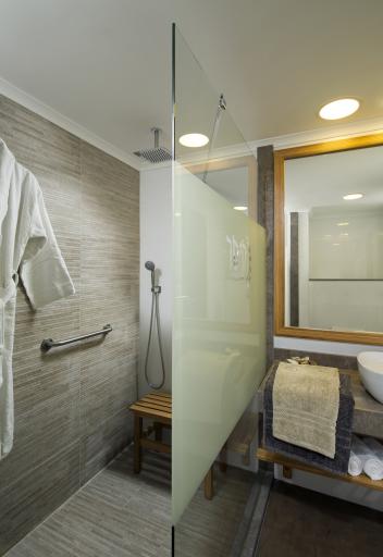 Premium room bathroom